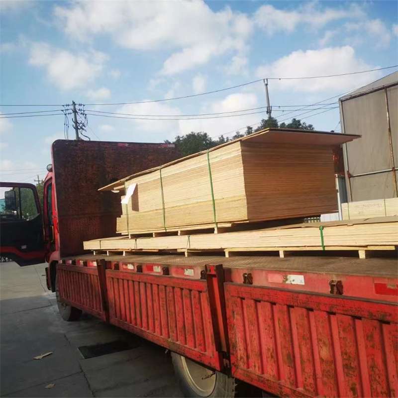 福建宁德柘荣县至塔城货运专线，一站式物流服务助您成功